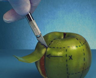 一秒发1000条手机号的软件